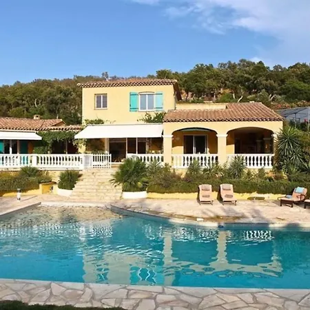 Perroquet Villa Grimaud