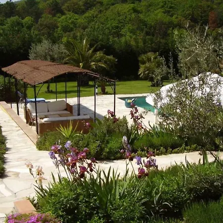 Perroquet Villa Grimaud